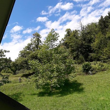 Sirovnik Apartment Begunje na Gorenjskem Esterno foto